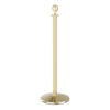 Visiontron Heavy Duty Series Ball Top Rope Stanchion